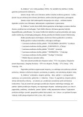 Eksporto politika, jos įgyvendinimo kryptys ir priemonės individualioje įmonėje „Dalduva“ 10 puslapis