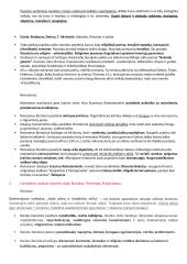 Lituanistikos studijų įvadas. Literatūros dalies egzamino klausimai 2 puslapis