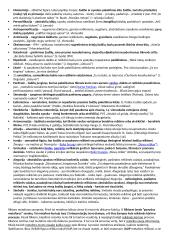 Lituanistikos studijų įvadas. Literatūros dalies egzamino klausimai 12 puslapis