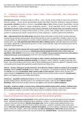 Lituanistikos studijų įvadas. Literatūros dalies egzamino klausimai 13 puslapis