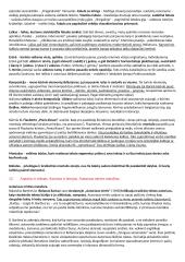 Lituanistikos studijų įvadas. Literatūros dalies egzamino klausimai 14 puslapis