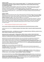 Lituanistikos studijų įvadas. Literatūros dalies egzamino klausimai 15 puslapis