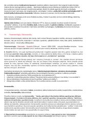 Lituanistikos studijų įvadas. Literatūros dalies egzamino klausimai 16 puslapis