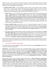 Lituanistikos studijų įvadas. Literatūros dalies egzamino klausimai 19 puslapis