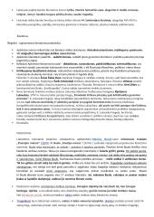 Lituanistikos studijų įvadas. Literatūros dalies egzamino klausimai 3 puslapis