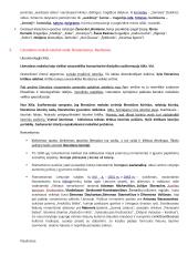 Lituanistikos studijų įvadas. Literatūros dalies egzamino klausimai 4 puslapis