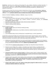 Lituanistikos studijų įvadas. Literatūros dalies egzamino klausimai 6 puslapis