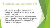 Haploidų panaudojimas genetiniuose tyrimuose ir selekcijos praktikoje 3 puslapis