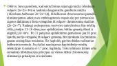 Haploidų panaudojimas genetiniuose tyrimuose ir selekcijos praktikoje 8 puslapis