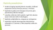 Haploidų panaudojimas genetiniuose tyrimuose ir selekcijos praktikoje 10 puslapis