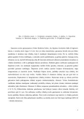 Cilindrų įvorės 7 puslapis