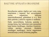 Baltymų apykaita organizme 3 puslapis