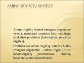 Baltymų apykaita organizme 4 puslapis