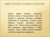 Baltymų apykaita organizme 5 puslapis