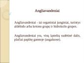 Angliavandenių apykaita organizme