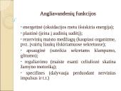 Angliavandenių apykaita organizme 2 puslapis