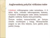 Angliavandenių apykaita organizme 7 puslapis