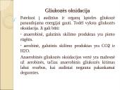 Angliavandenių apykaita organizme 9 puslapis
