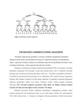 Sprendimų medžiai 5 puslapis