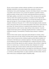 Apie individualumą, kaip vieną iš gerovės elementų 3 puslapis