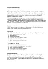 Projektas sveikatos šalyje 2 puslapis