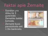 Žemaitė skaidrės 8 puslapis