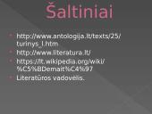 Žemaitė skaidrės 9 puslapis