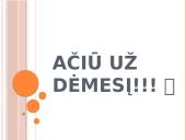 Ieva Simonaitytė (1897m.-1978m.) 9 puslapis