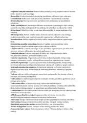 Vadybos konspektas egzaminui 2 puslapis