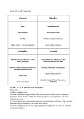 Vadybos konspektas egzaminui 5 puslapis