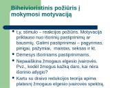 Mokymosi motyvacija. Teorijos 14 puslapis