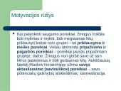 Mokymosi motyvacija. Teorijos 18 puslapis