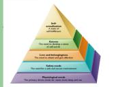 Mokymosi motyvacija. Teorijos 19 puslapis