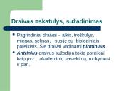 Mokymosi motyvacija. Teorijos 8 puslapis