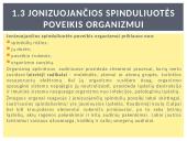 Apsauga nuo jonizuojančios spinduliuotės ir nuo nuodingų medžiagų poveikio 6 puslapis