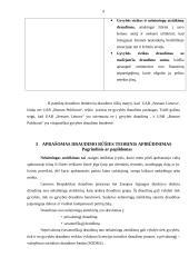Draudimo nuo nelaimingų atsitikimų UAB „Seesam Lietuva“ ir UAB „Bonum Publicum“ lyginamoji analizė 6 puslapis