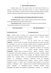 Draudimo nuo nelaimingų atsitikimų UAB „Seesam Lietuva“ ir UAB „Bonum Publicum“ lyginamoji analizė 10 puslapis
