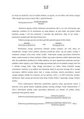 Įmonės veiklos efektyvumo (apyvartumo) analizė 12 puslapis