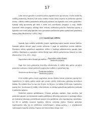 Įmonės veiklos efektyvumo (apyvartumo) analizė 17 puslapis