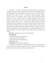 Jūriniai protestai ir notisai 2 puslapis