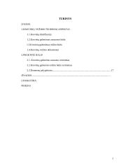 Krovinių vežimo maršrutu Radviliškis-Augsburgas tyrimas 2 puslapis