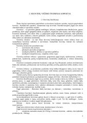 Krovinių vežimo maršrutu Radviliškis-Augsburgas tyrimas 4 puslapis