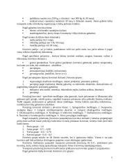 Krovinių vežimo maršrutu Radviliškis-Augsburgas tyrimas 5 puslapis