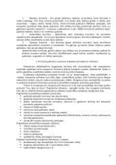 Krovinių vežimo maršrutu Radviliškis-Augsburgas tyrimas 6 puslapis