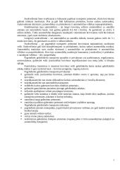 Krovinių vežimo maršrutu Radviliškis-Augsburgas tyrimas 7 puslapis