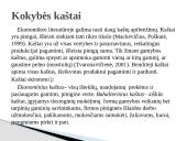 Kokybės kaštai skaidrės 2 puslapis