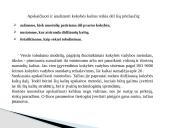 Kokybės kaštai skaidrės 11 puslapis