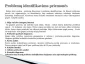 Kokybės kaštai skaidrės 13 puslapis