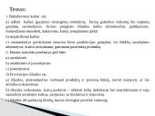 Kokybės kaštai skaidrės 20 puslapis