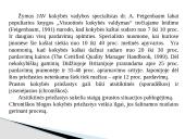 Kokybės kaštai skaidrės 3 puslapis